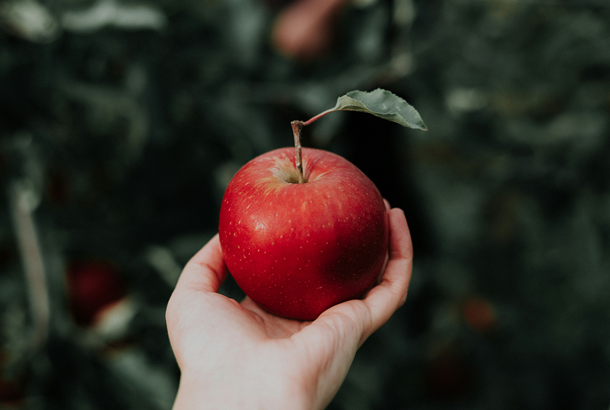 Apple Cider Vinegar