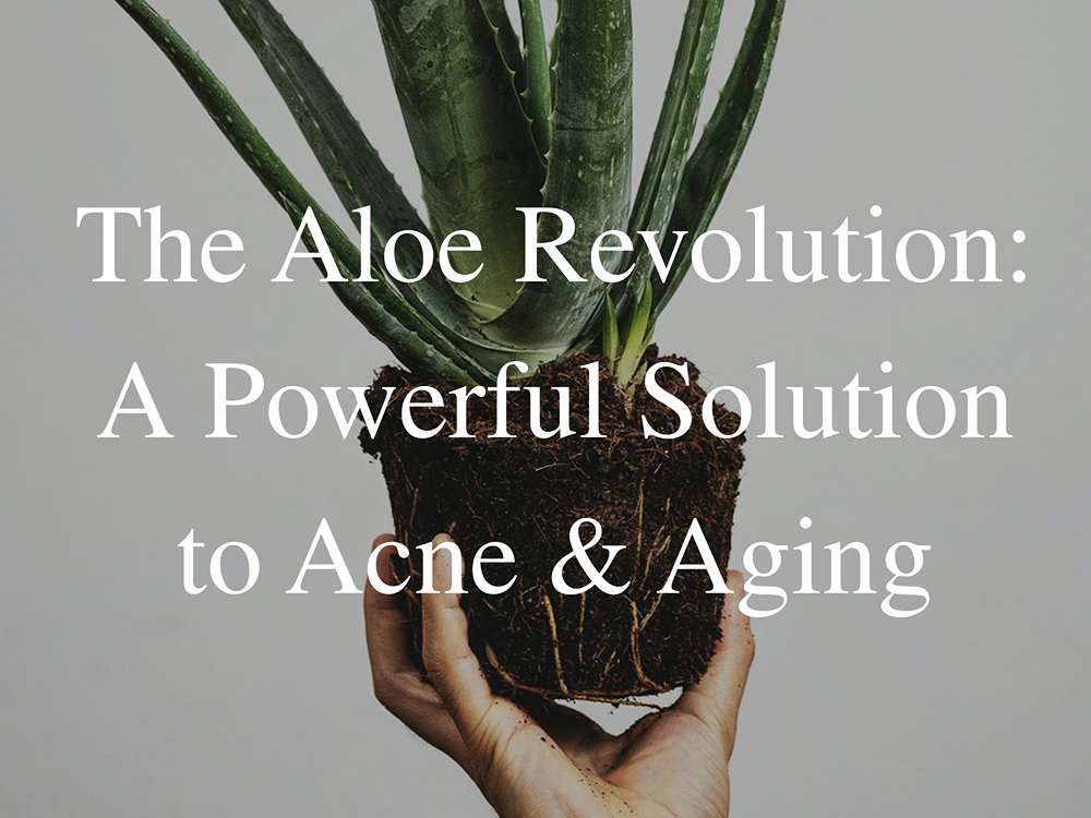 Aloe Vera